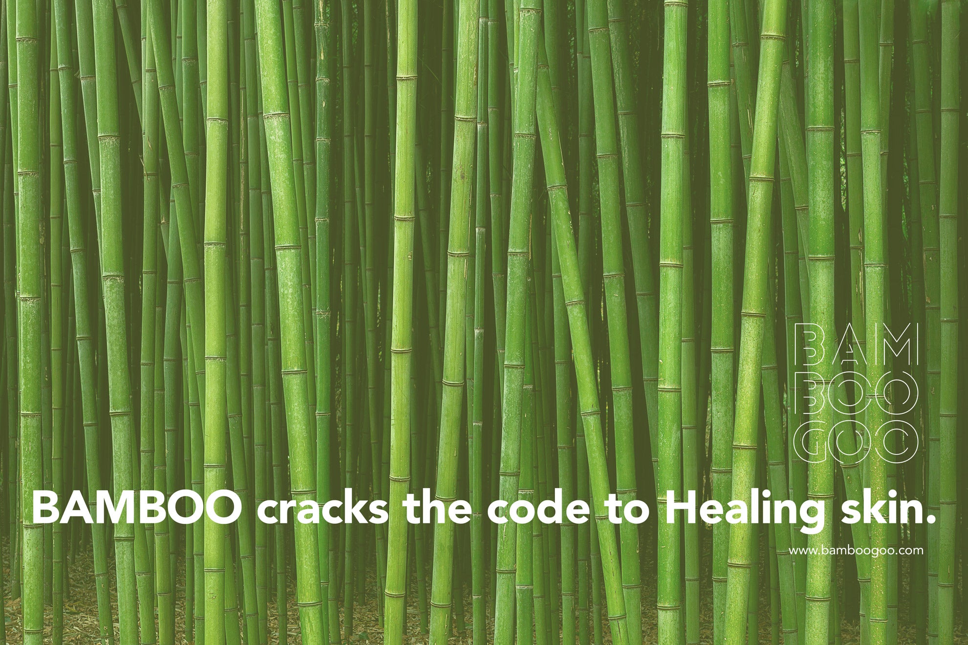 Bamboo cracks the code to Healing skin.