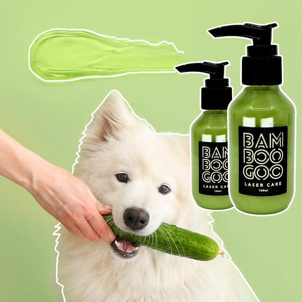 Laser Aftercare 100ml