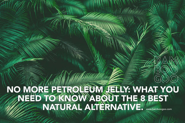 No More Petroleum Jelly: What You Need to Know About the 8 Best Natural Alternative
