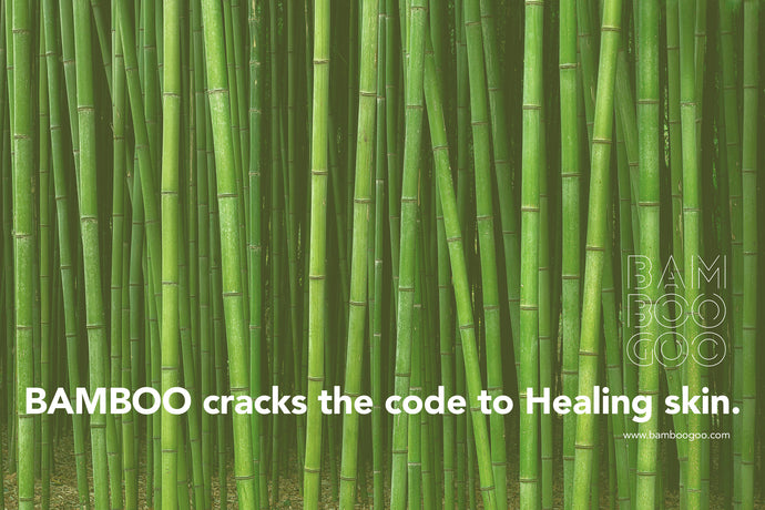 Bamboo cracks the code to Healing skin.