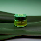 The Complete Recovery System