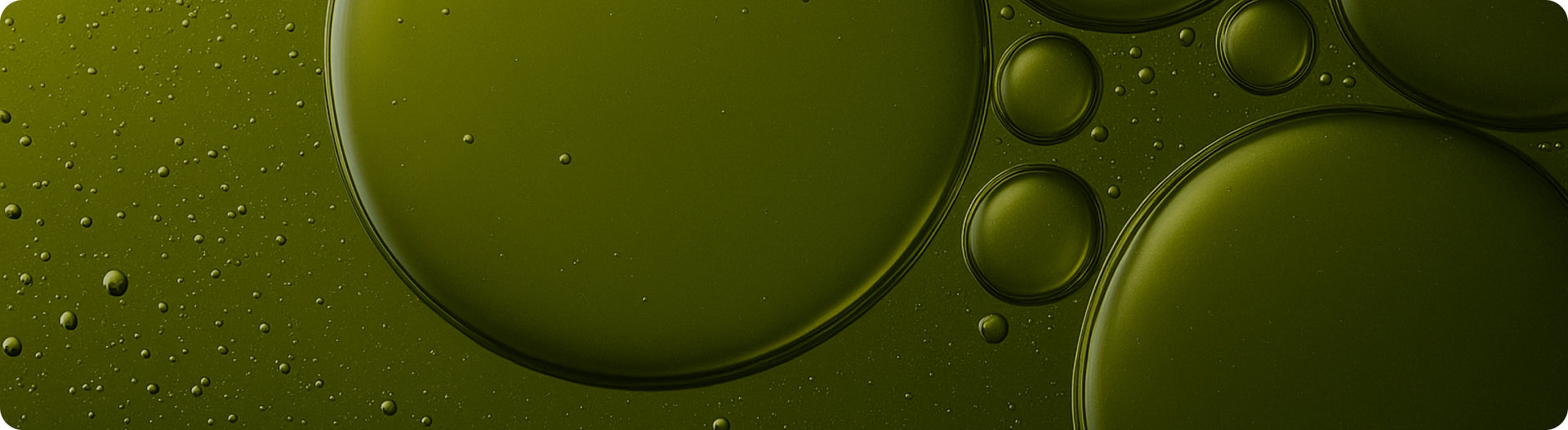 INGREDIENTS THAT 
LEAD TO GREAT HEALING